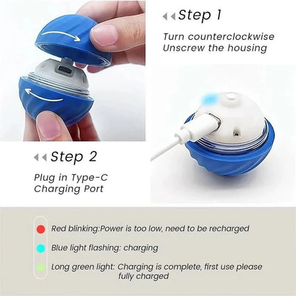PlayPet Interactive Dog Ball - Rechargeable Bouncing Ball