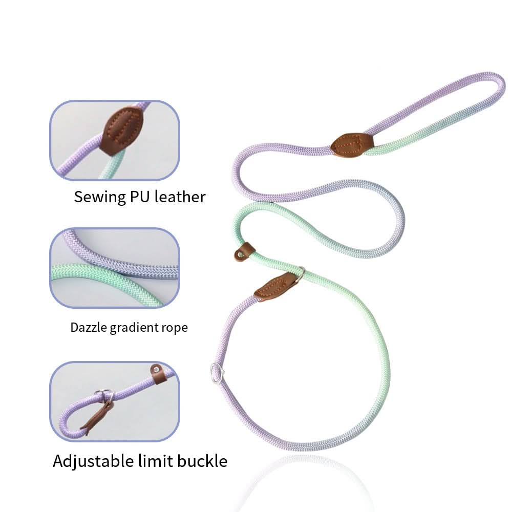 COLORLEASH – Colorful Dog Leash for Stylish Walks