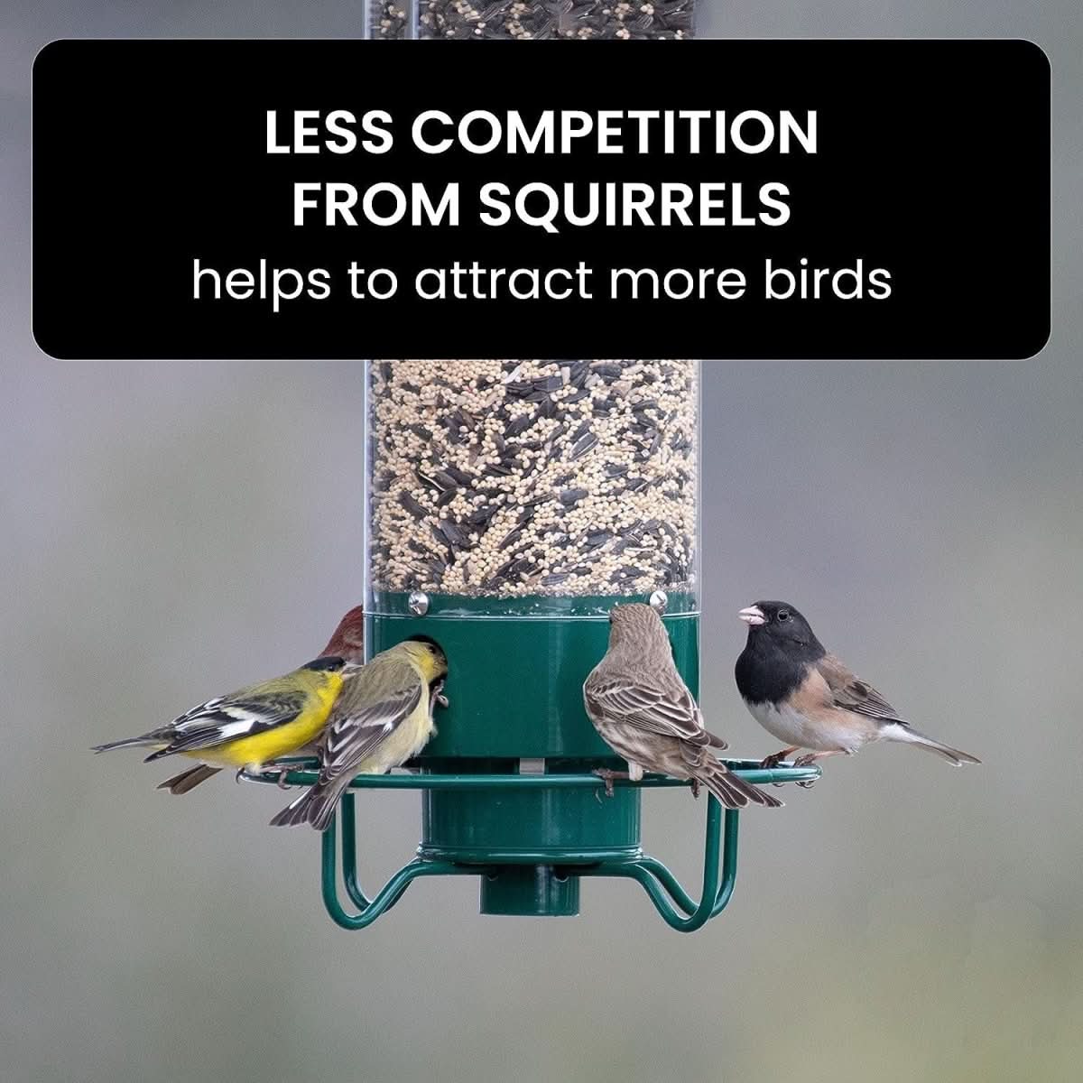 NutriGuard – Squirrel-Proof Birdhouse with Weight-Controlled Feeder