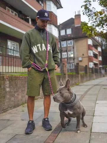 FreedomLeas - Hands-free dog leash for jogging & walking