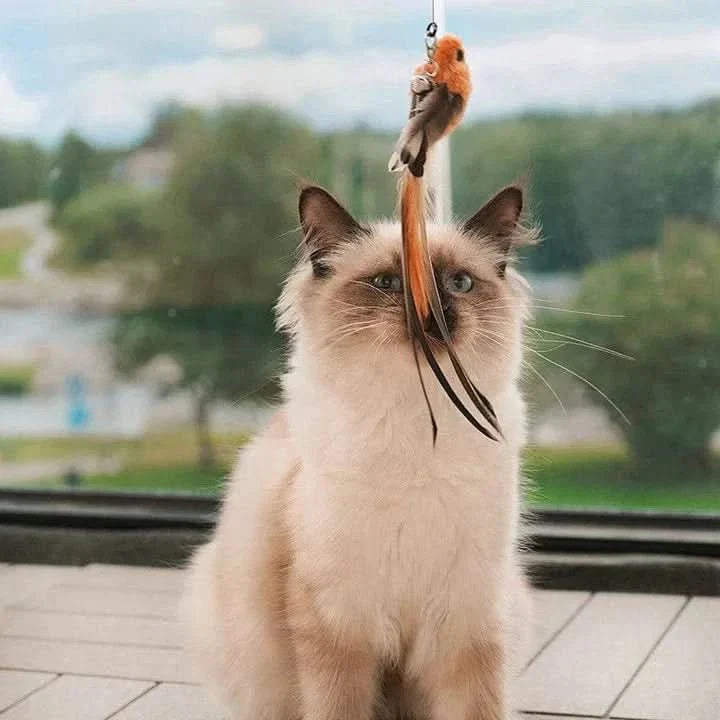 WingWhirl – Interactive Cat Toy with Fluttering Wing Movements