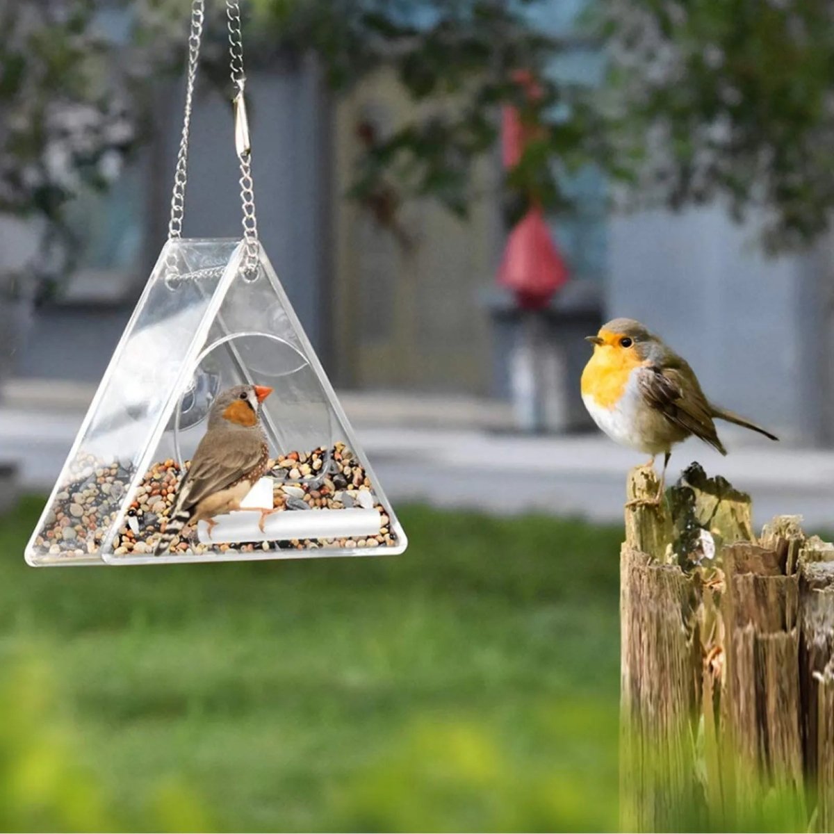 TRIFEED – Acrylic bird feeder for outdoors, triangular wind protection design