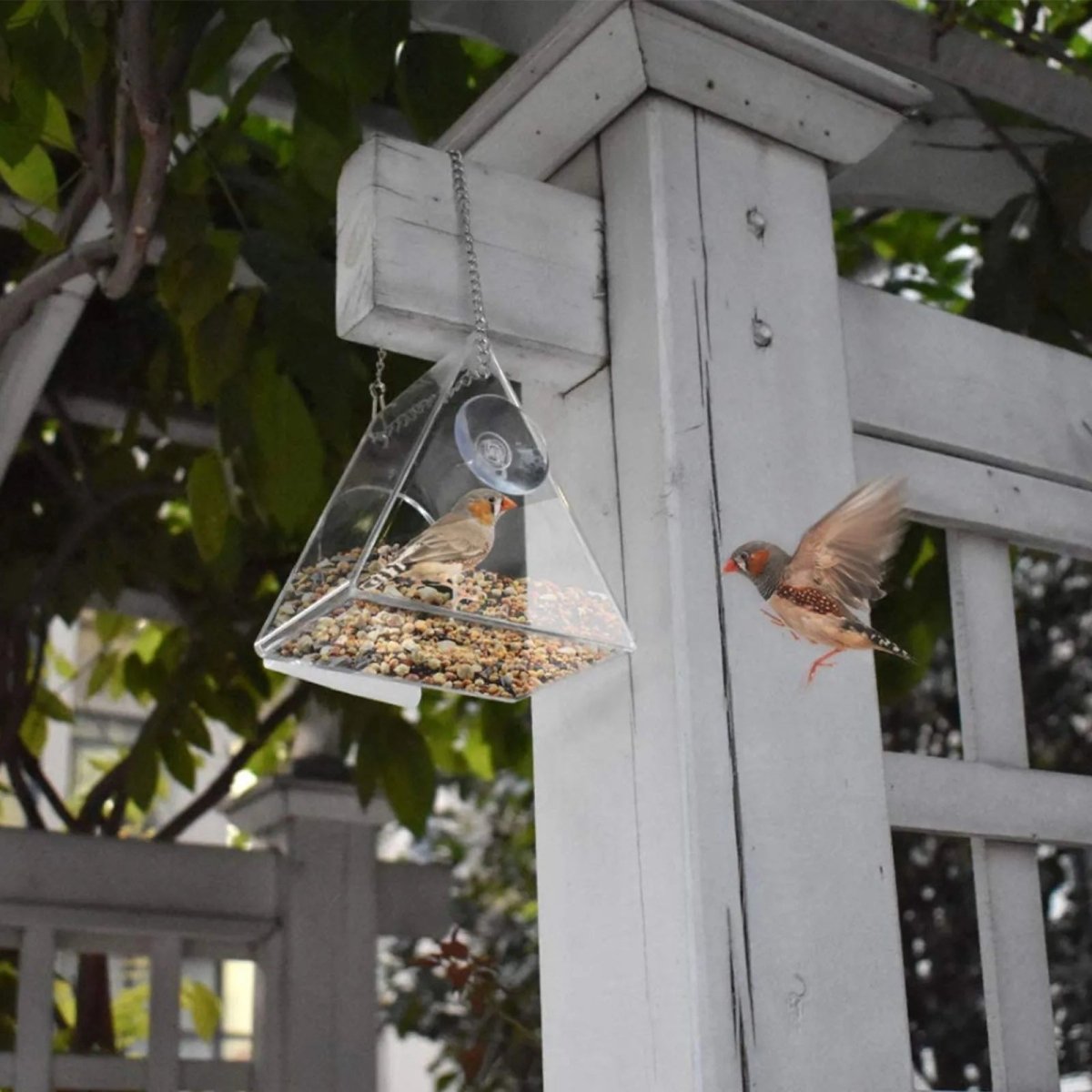 TRIFEED – Acrylic bird feeder for outdoors, triangular wind protection design