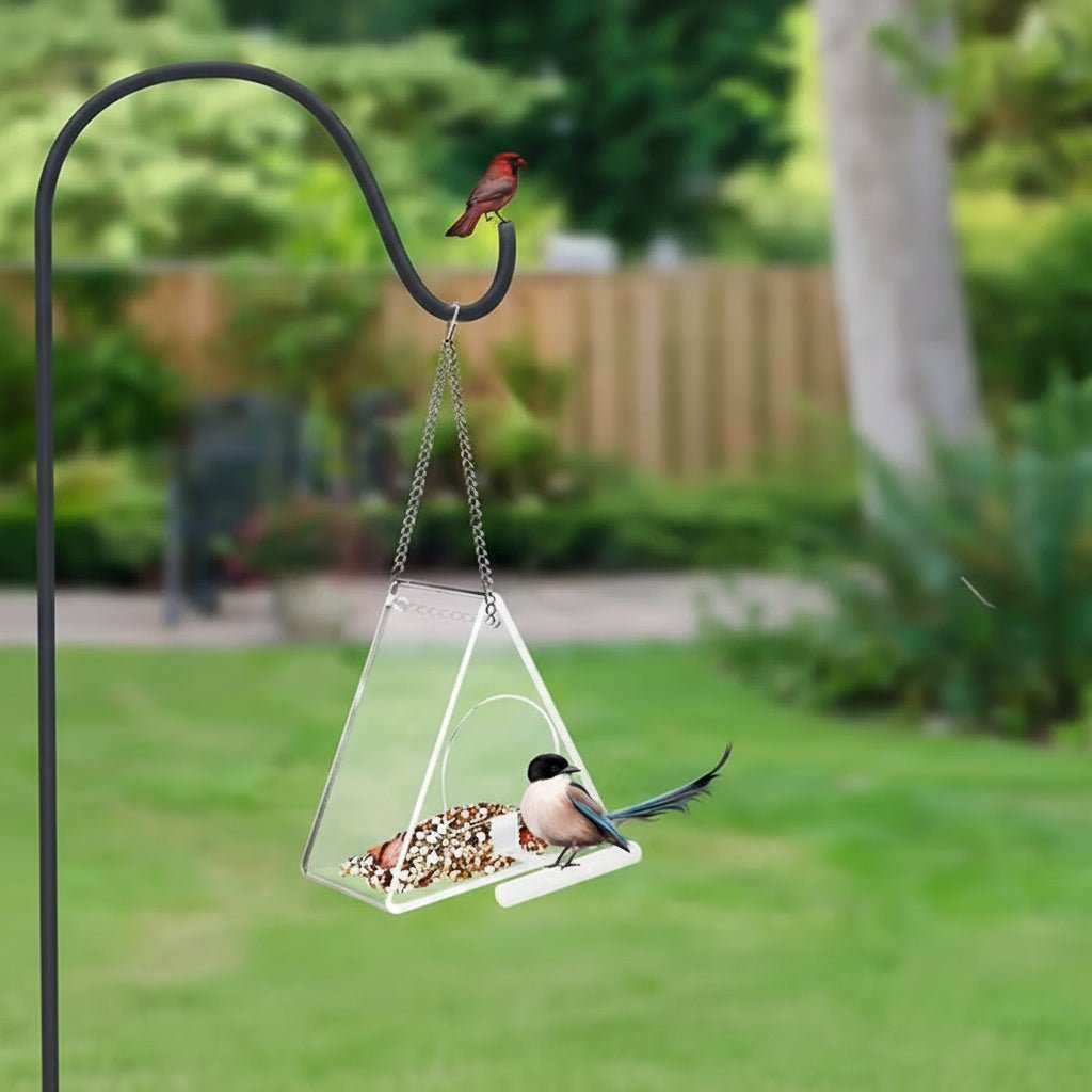 TRIFEED – Acrylic bird feeder for outdoors, triangular wind protection design