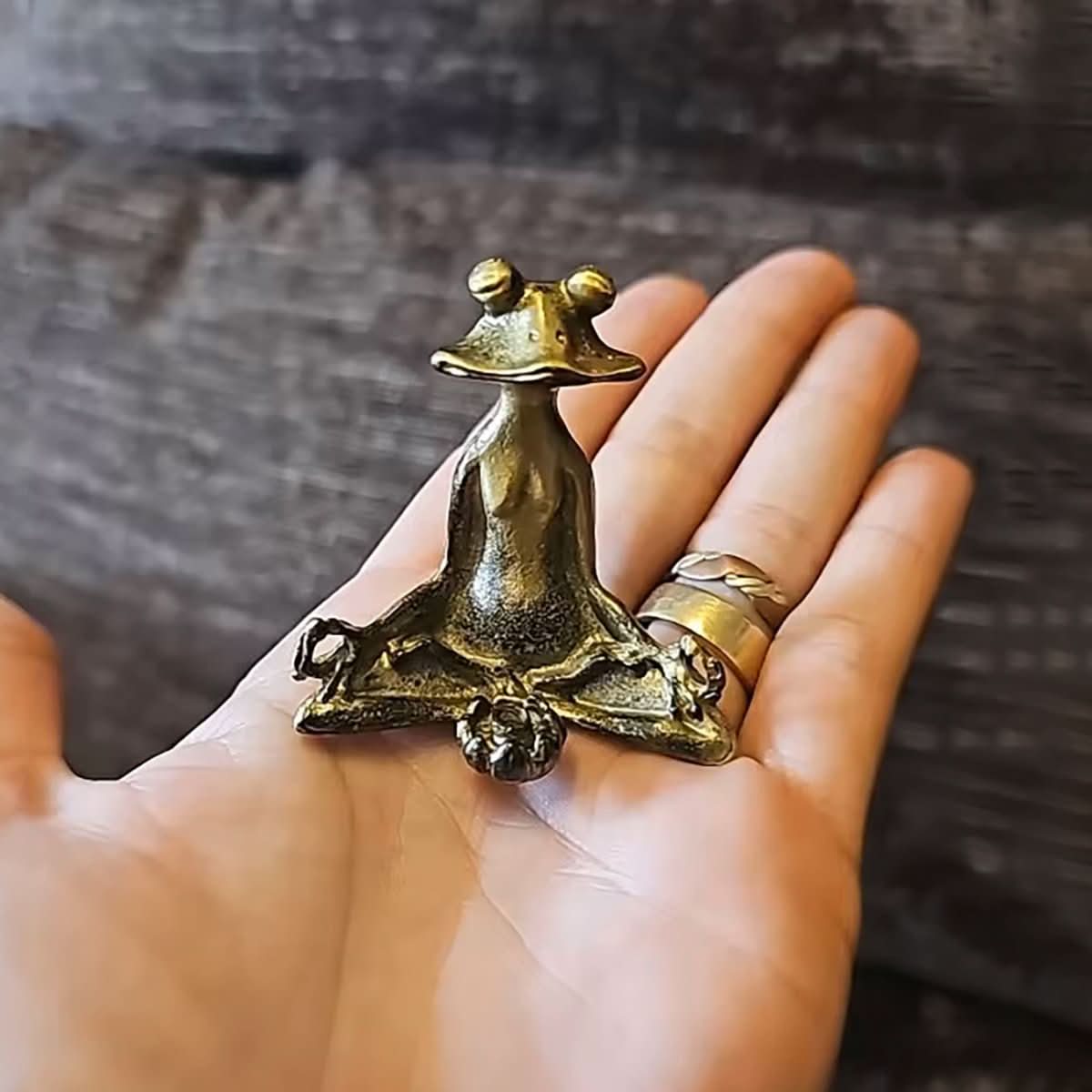 Serenova Meditation Frog | Handmade Incense Holder Made of Brass | Spiritual Decor & Gift Idea for Meditation