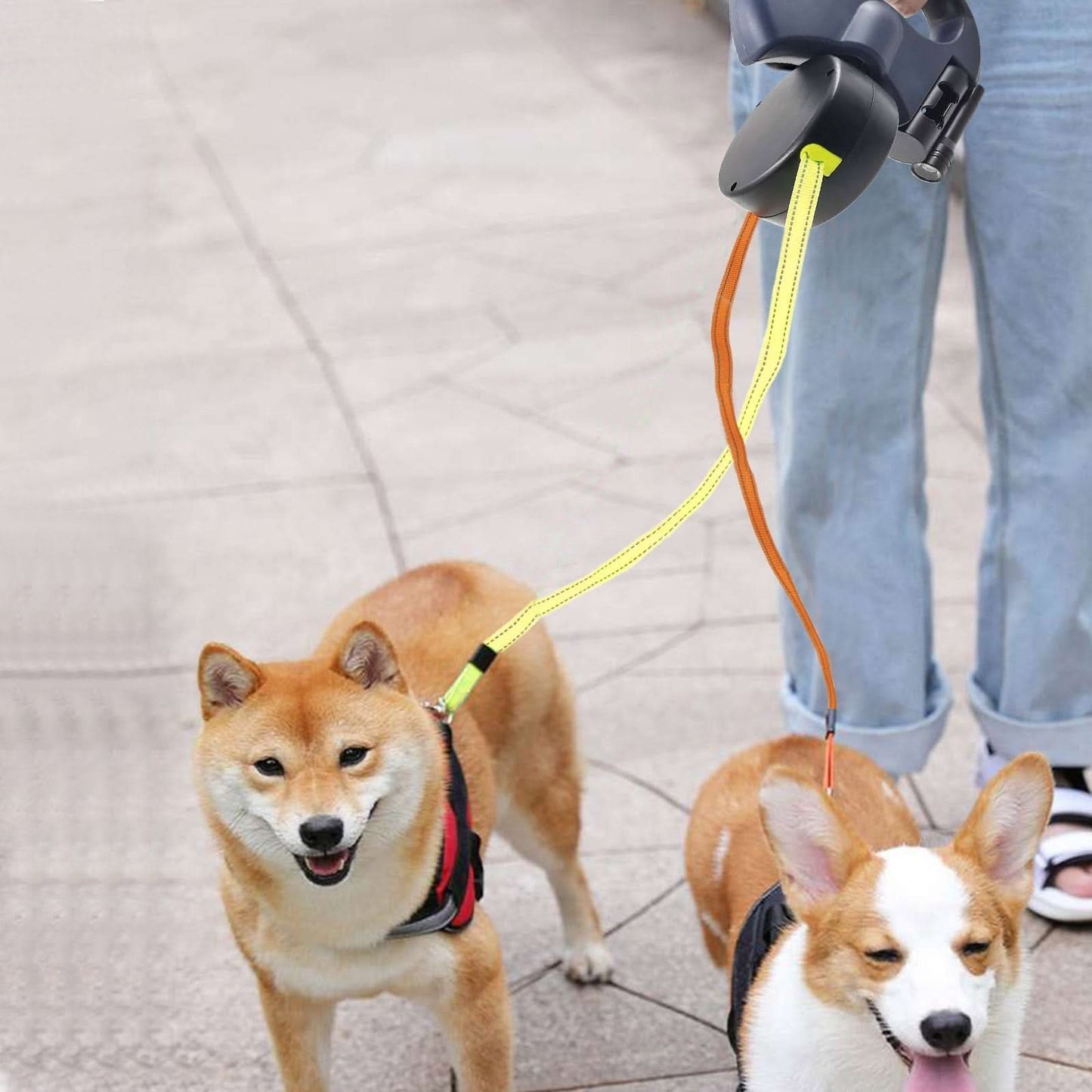 PROPET DUO - Rolling lead for two dogs with integrated torch
