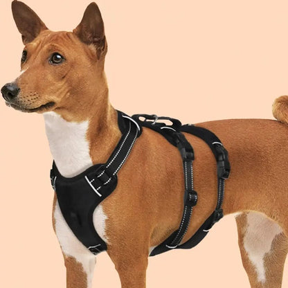NoPull nylon dog harness - Reflective & escape-proof for relaxed walks