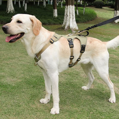 NoPull nylon dog harness - Reflective & escape-proof for relaxed walks