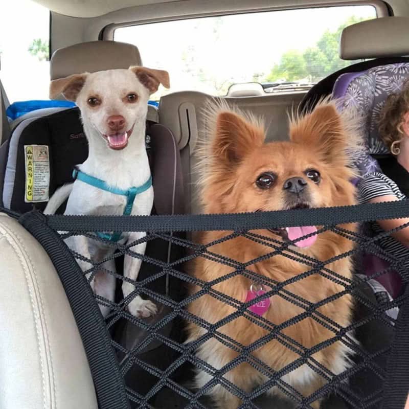 PETROAD SHIELD – Safety Net for Car with Storage Space for Pets