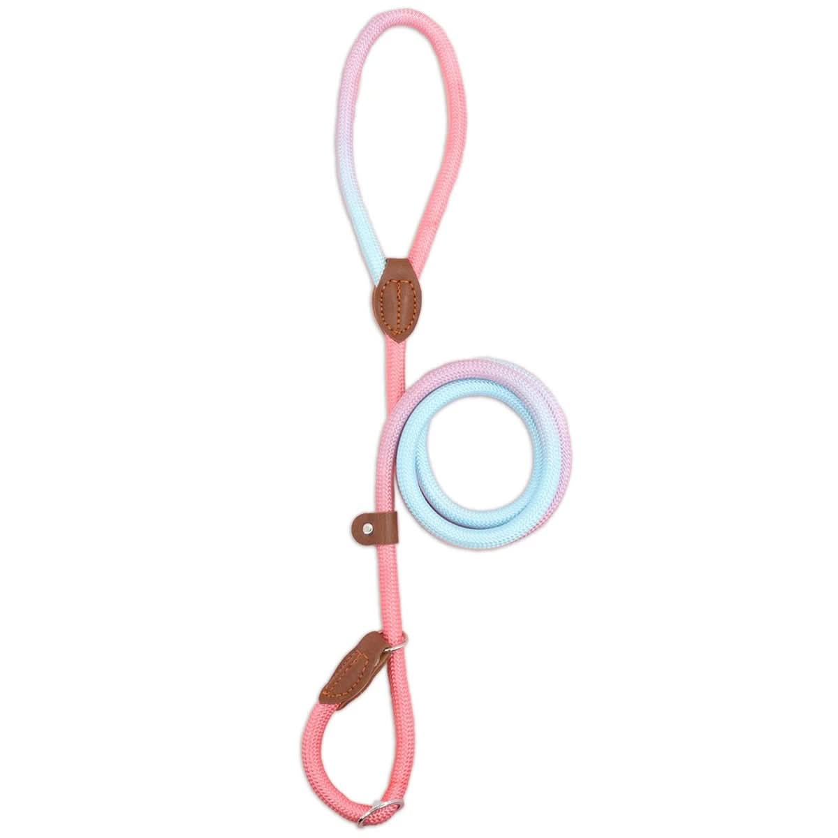 COLORLEASH – Colorful Dog Leash for Stylish Walks