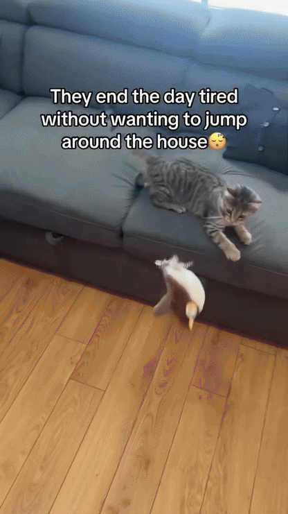 WhiskerFun plush toy - energy-saving, safe & perfect for active cats