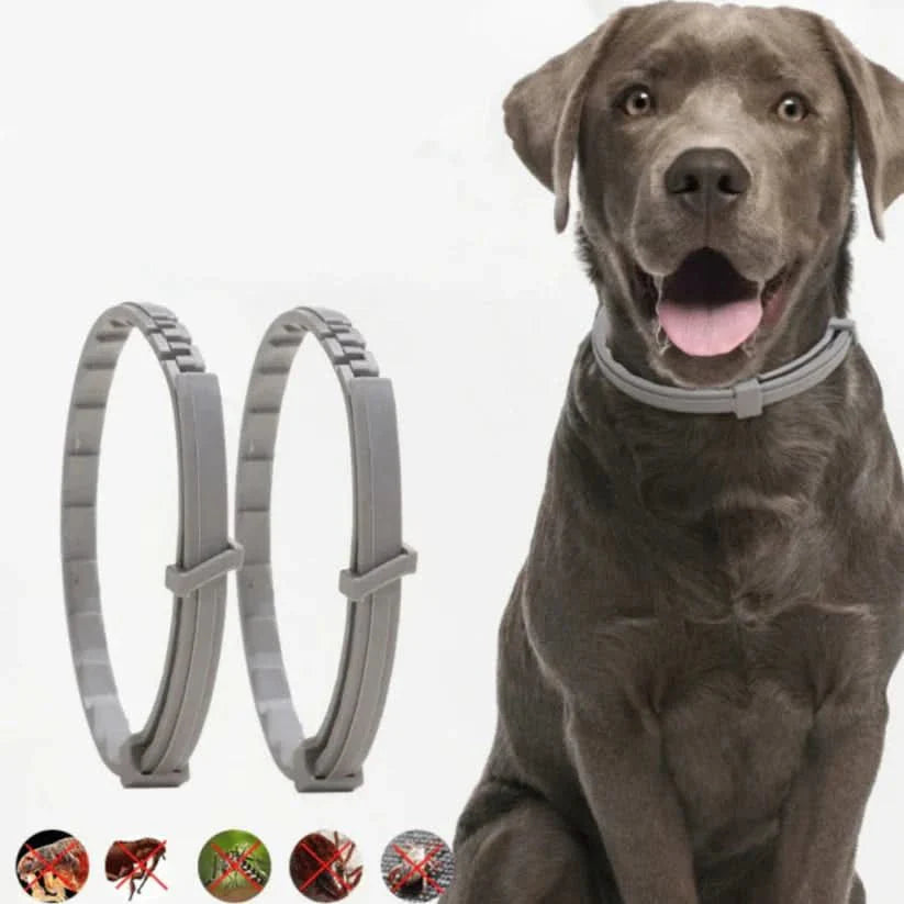 DEFENSCOLLAR – Flea & Tick Protection Collar for Dogs & Cats