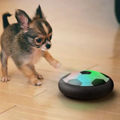 ChaseSpark – Interactive Play Ball for Dogs with Unpredictable Movements