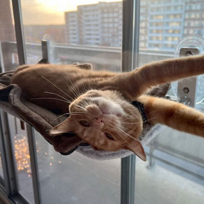 Pawperch - Foldable cat hammock for windows & walls