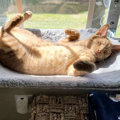 Pawperch - Foldable cat hammock for windows & walls