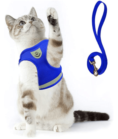 WANDERPAW – Escape-proof cat harness with reflective details