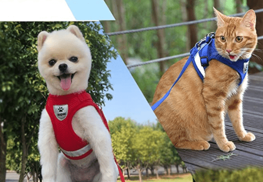 WANDERPAW – Escape-proof cat harness with reflective details