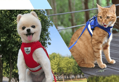 WANDERPAW – Escape-proof cat harness with reflective details