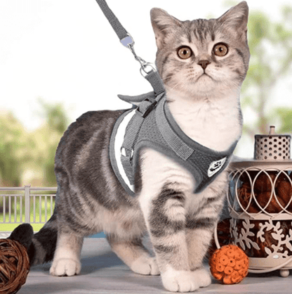 WANDERPAW – Escape-proof cat harness with reflective details