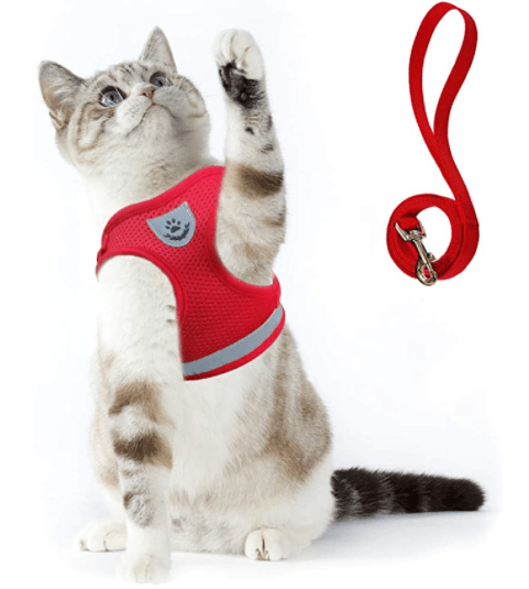 WANDERPAW – Escape-proof cat harness with reflective details