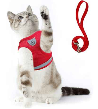 WANDERPAW – Escape-proof cat harness with reflective details