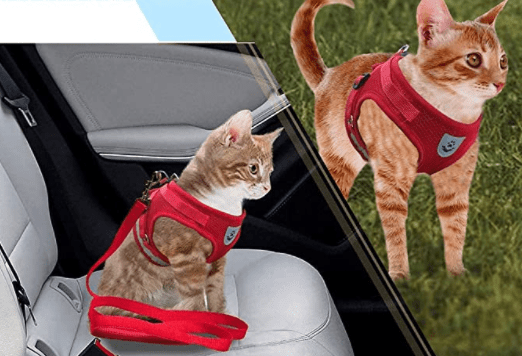 WANDERPAW – Escape-proof cat harness with reflective details