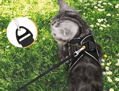 WANDERPAW – Escape-proof cat harness with reflective details