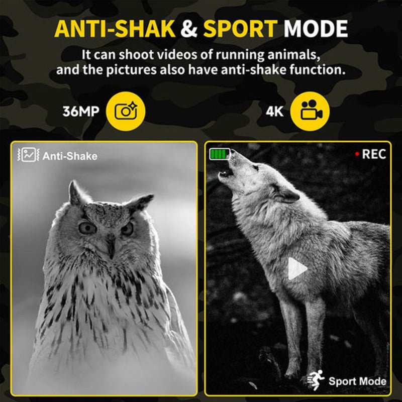 NOCTIVIEW – Digital infrared night vision binoculars with 4K resolution & 36MP camera