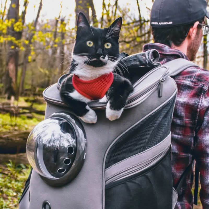 PanoraPet Travel Bag – Foldable Cat Travel Bag with Panoramic Window & Comfort Design