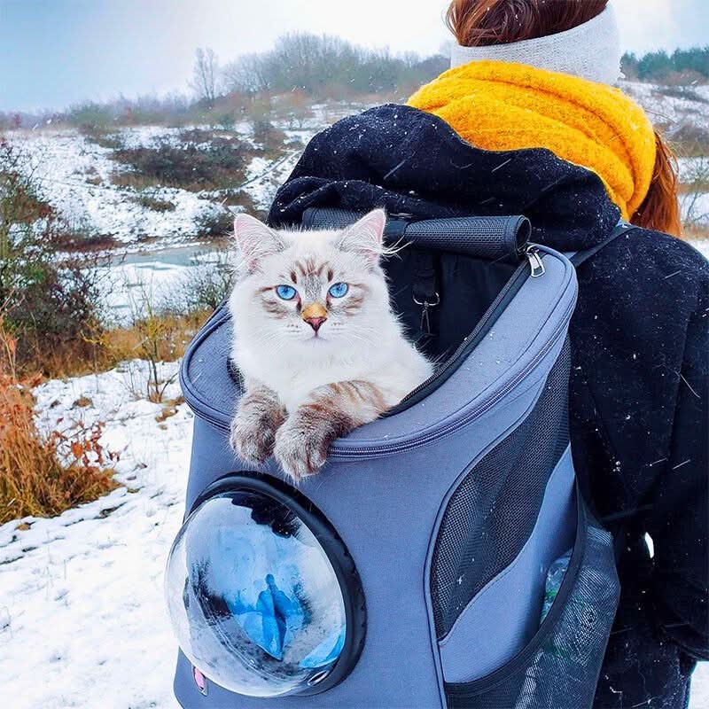 PanoraPet Travel Bag – Foldable Cat Travel Bag with Panoramic Window & Comfort Design