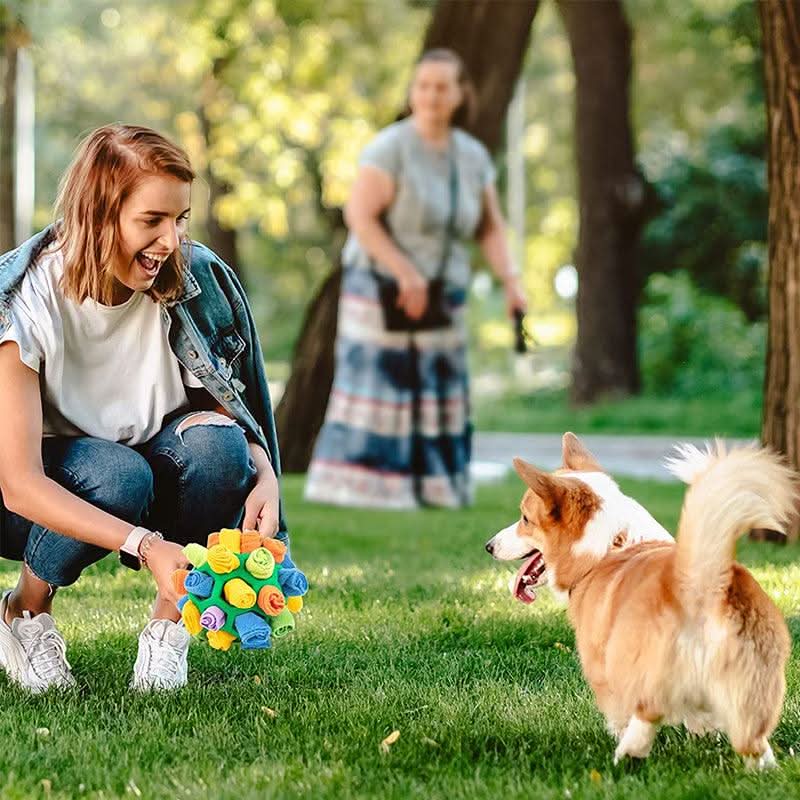Pawzzle Mat – Interactive Snuffle Toy for Dogs & Cats for Mental Stimulation