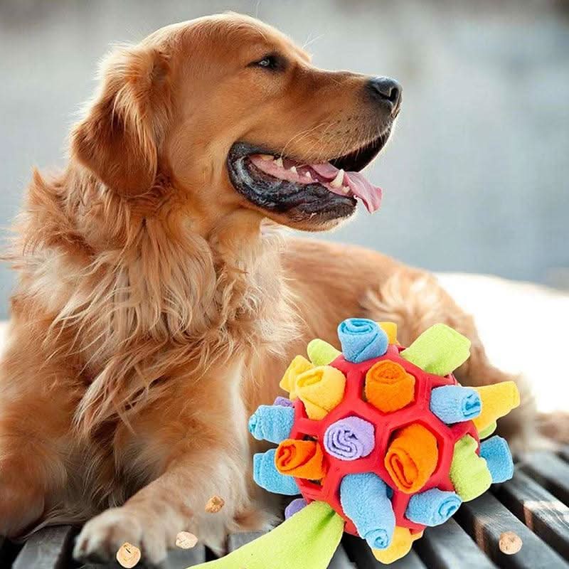 Pawzzle Mat – Interactive Snuffle Toy for Dogs & Cats for Mental Stimulation