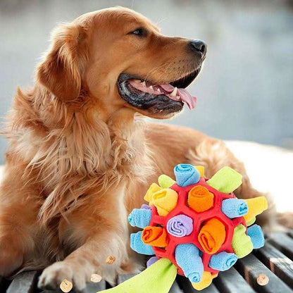 Pawzzle Mat – Interactive Snuffle Toy for Dogs & Cats for Mental Stimulation