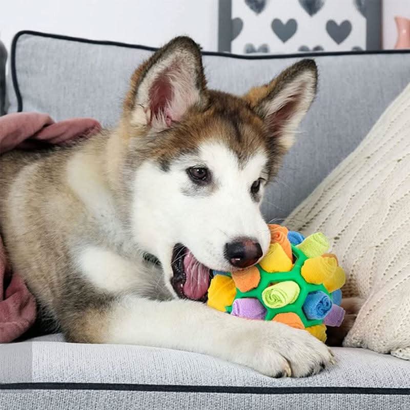 Pawzzle Mat – Interactive Snuffle Toy for Dogs & Cats for Mental Stimulation