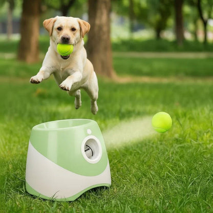 PlayFetch Automatic Ball Thrower - Rechargeable dog toy