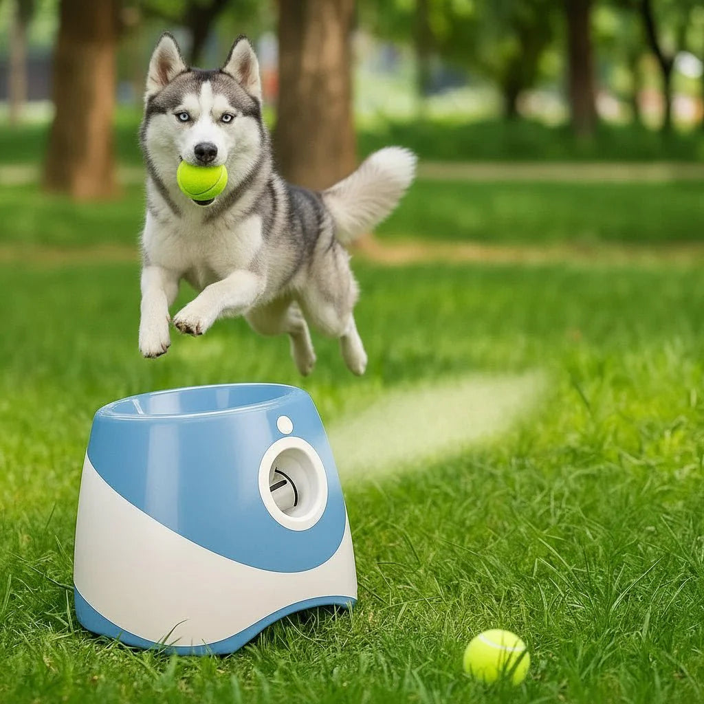 PlayFetch Automatic Ball Thrower - Rechargeable dog toy